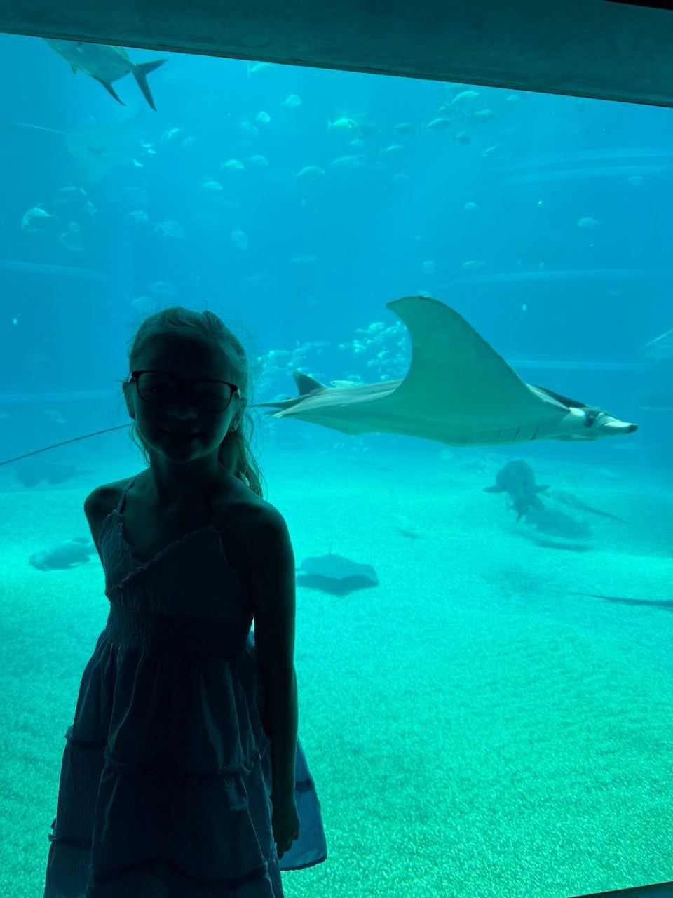 A young girl with glasses stands silhouetted against a large aquarium tank as a manta ray glides directly behind her, with rays and sharks visible along the sandy floor below.