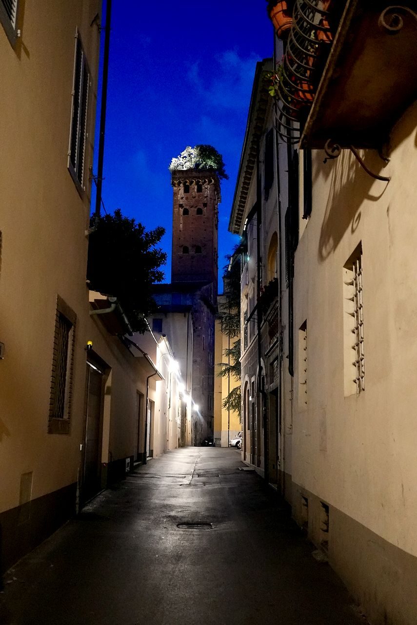 A narrow empty alley in Lucca at night leads toward the illuminated Torre Guinigi, its rooftop trees visible against a deep blue evening sky