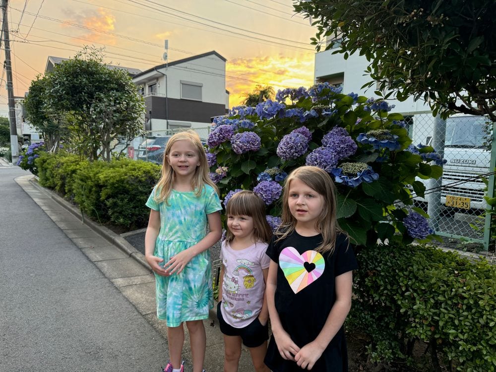 Three girls stand together on a quiet Shibamata street, with blooming purple hydrangea bushes and houses visible behind them.