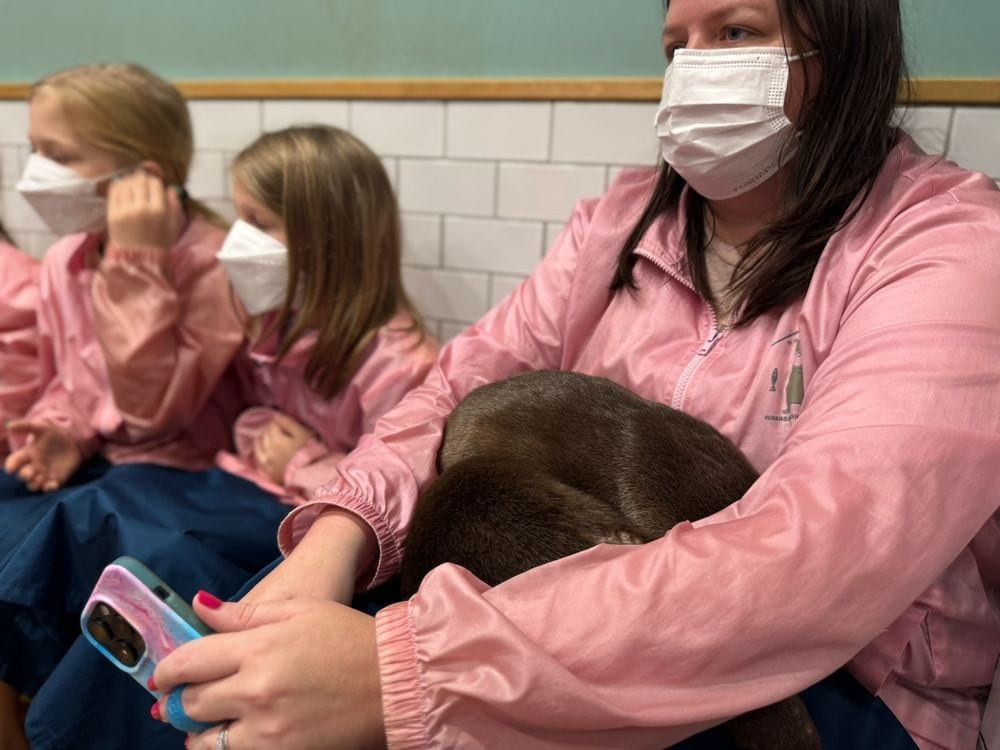 A woman and two girls wearing matching pink jackets and white face masks sit on a bench at an otter cafe in Tokyo, with a small brown otter curled up asleep in the woman's lap while she holds a phone.