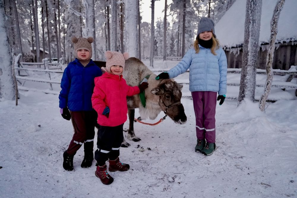 Cora, Harper, and Lily feeding a reindeer up close in Rovaniemi Finland