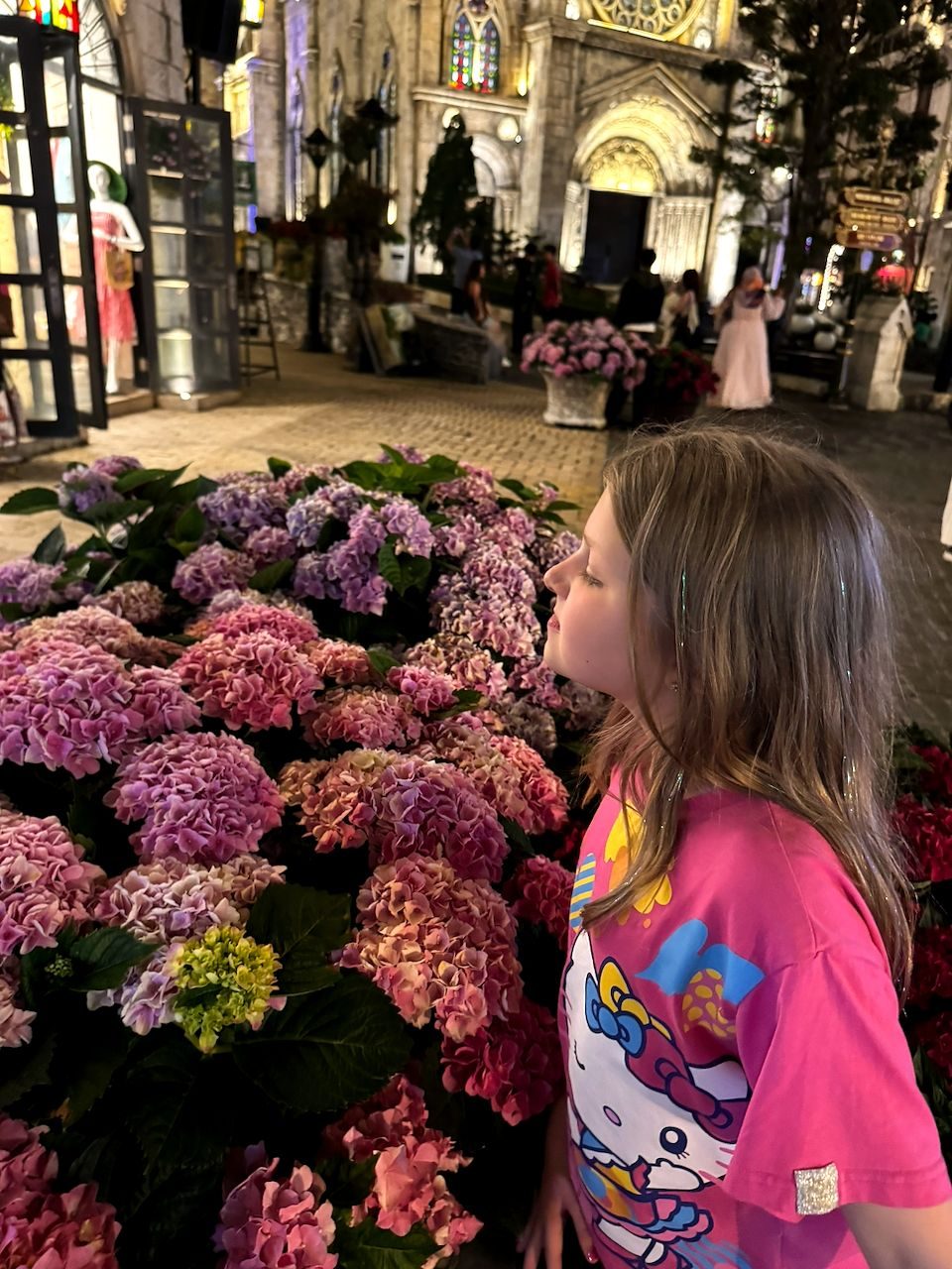 A young girl in a pink Hello Kitty shirt stands in side profile looking at a large display of pink and purple hydrangeas at night, with a stone European-style building lit up in the background.