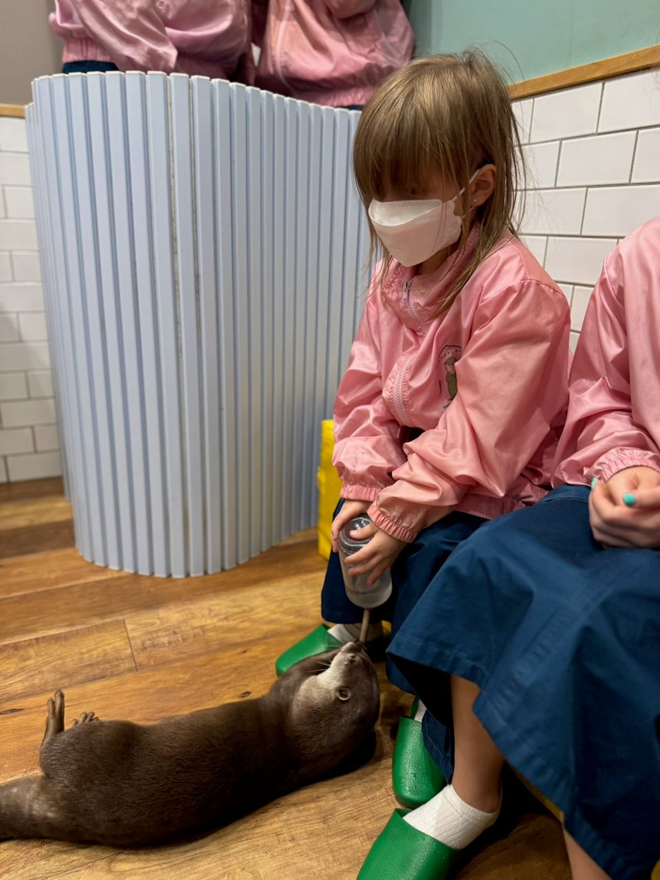 A young girl in a pink jacket and face mask sits on a low stool feeding a small otter lying on its back on a wooden floor inside an animal cafe in Tokyo.
