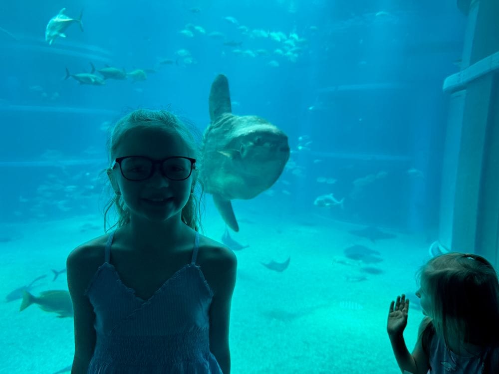 Two girls at the glass of a large aquarium tank at Kaiyukan in Osaka, one posing while a massive sunfish drifts past behind them