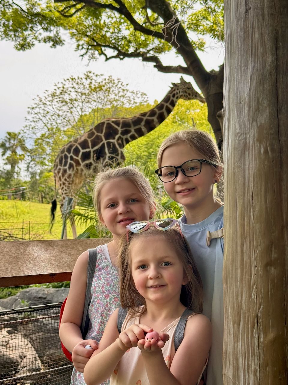 Three young girls smile at the camera while standing near a wooden post at a zoo enclosure, with a large giraffe grazing in the green background behind them.