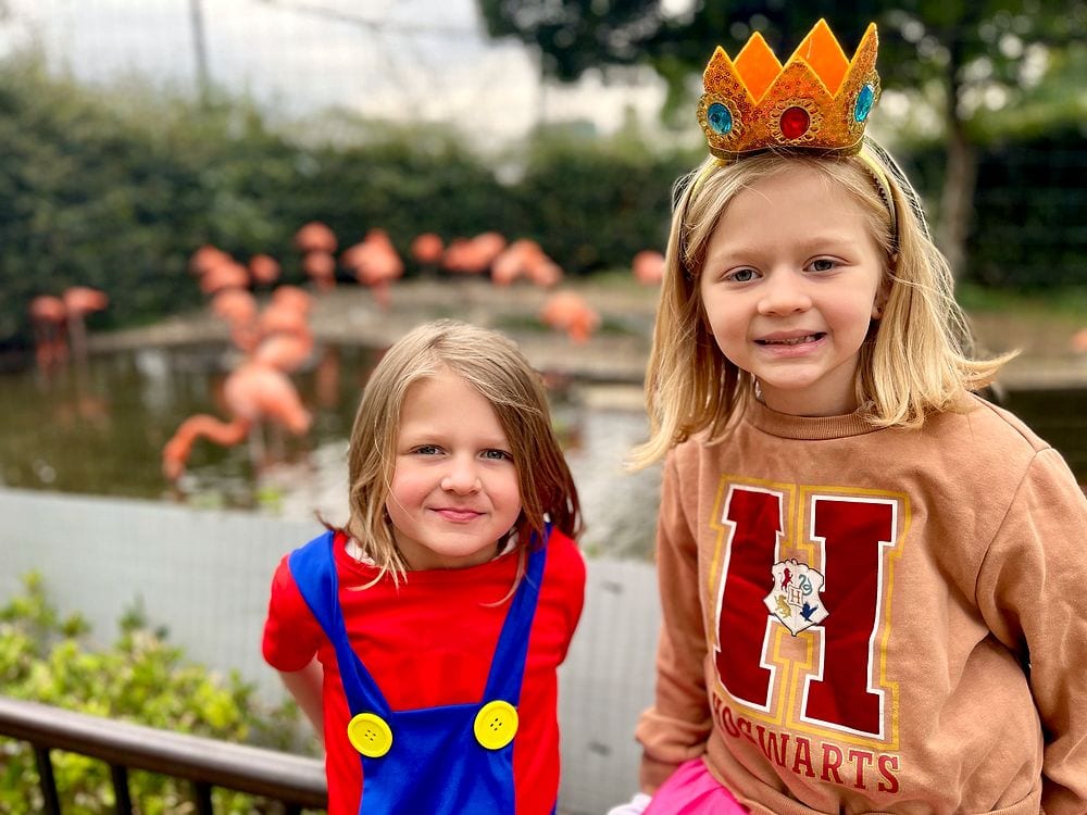 Two young girls in Mario and Luigi Halloween costumes pose together with flamingos visible in the enclosure behind them.