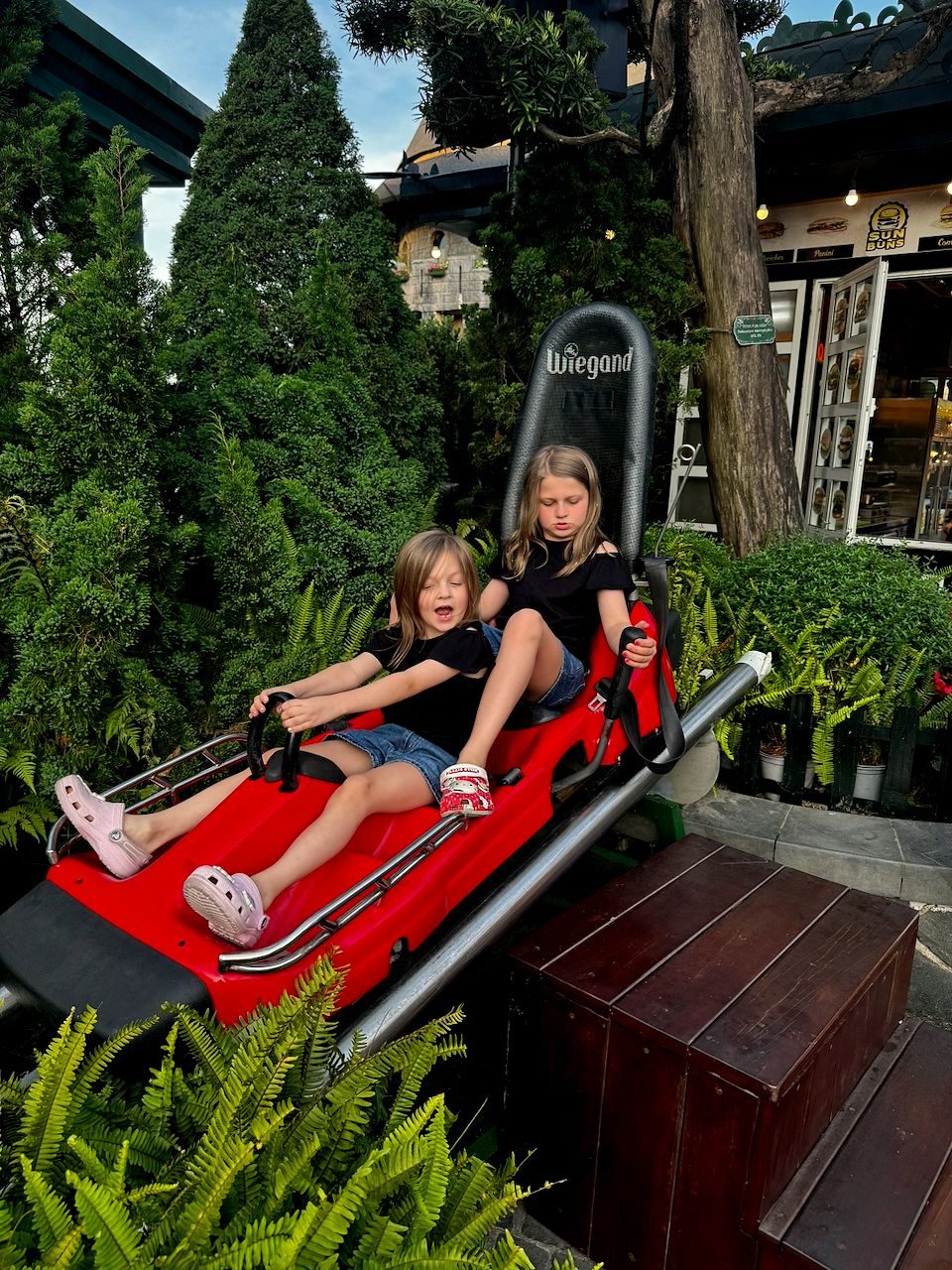 Two young girls riding a red alpine coaster cart down a track through ferns and evergreen trees at Ba Na Hills, one mid-scream