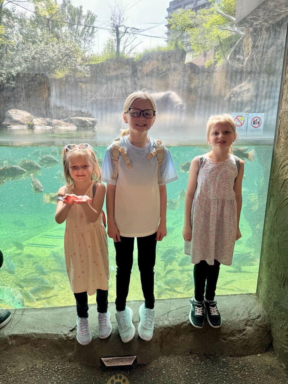 Three young girls stand in front of a large aquarium tank filled with fish at a zoo, with a polar bear visible through the glass in the rocky enclosure above the waterline behind them.