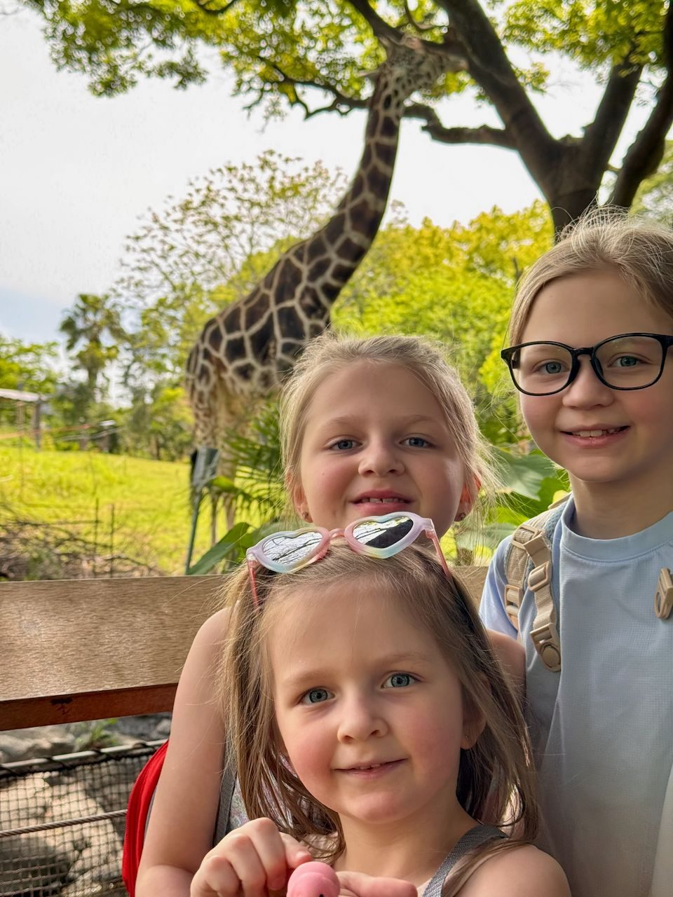 Three young girls smile at the camera in front of a giraffe browsing a tree at a zoo in Osaka, Japan, with the younger two in front and the oldest wearing glasses and a backpack behind them.
