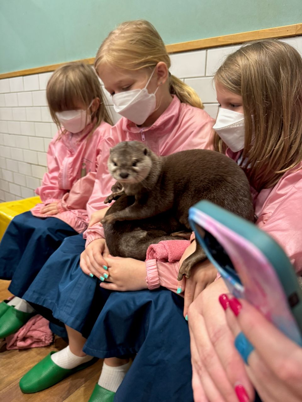 Three young girls in matching pink smocks and face masks sit together holding a small otter at an animal cafe in Japan, with a phone visible in the foreground being used to photograph the moment.